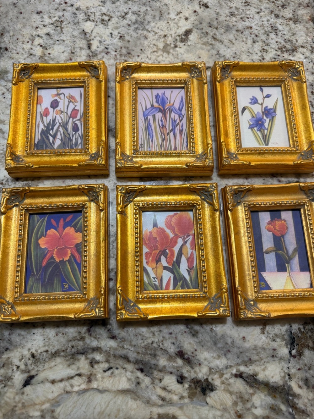 Vintage Reproduction Set Of 6 Gold Ornate Frames Gallery Wall Botanical Flowers